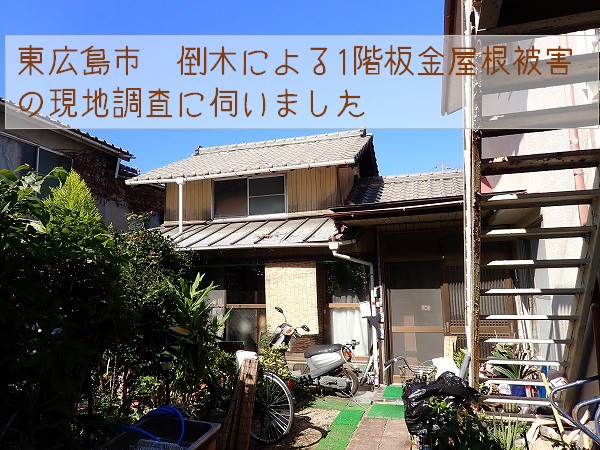 東広島市　倒木による1階板金屋根破損の現地調査に伺いました